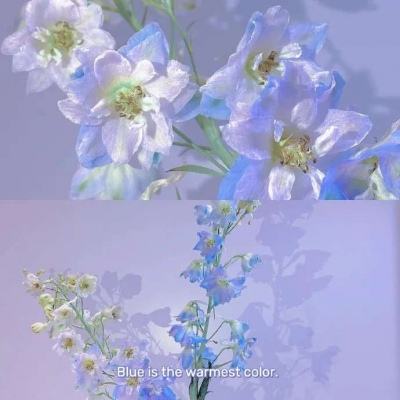 新乐动体育app下载官网